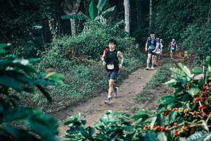 BIB: 
                            <button type="button" onclick="openModal(25795626)" class="btn btn-primary btn-sm float-right btn-popup" data-toggle="modal" data-target=".modal-high-quality">
                        <i class="fas fa-shopping-cart"></i> Add to Cart
                    </button>
                                            <button type="button" onclick="isThisMe(25795626, true)" class="btn btn-success btn-sm float-right btn-popup btn-isme hidden" data-toggle="tooltip" data-placement="bottom" title="นี่คือรูปของคุณใช่ไหม คลิกที่นี่เพื่อเอาเข้าอัลบั้ม">
                        <i class="fas fa-plus"></i> Add to album
                    </button>
                    <button type="button" onclick="isThisMe(25795626, false)" class="btn btn-warning btn-sm float-right btn-popup btn-isnotme hidden">
                        <i class="fas fa-ban"></i> Remove from album
                    </button>